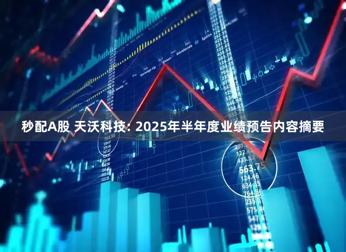秒配A股 天沃科技: 2025年半年度业绩预告内容摘要